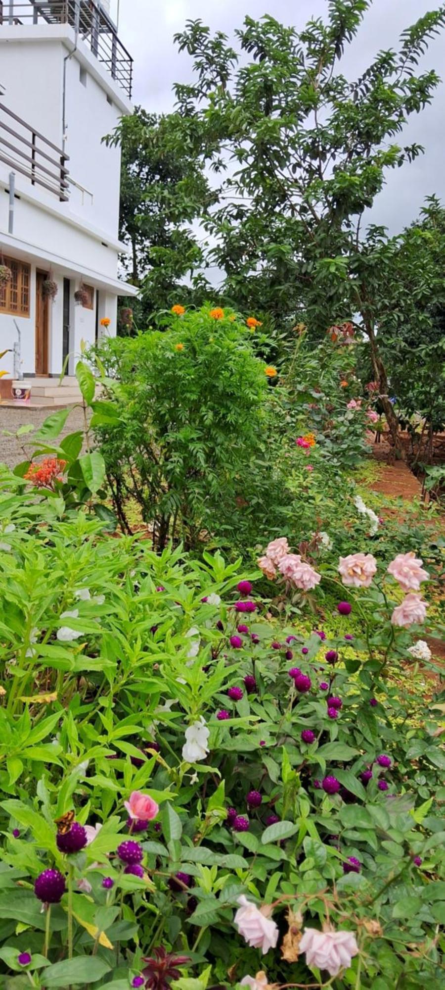 Rockland Holidays Ramakkalmedu Екстер'єр фото