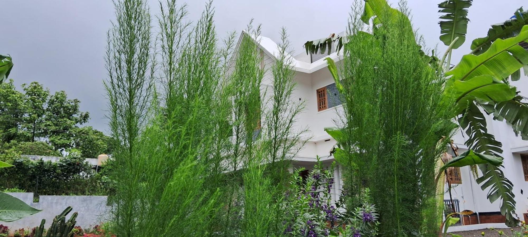 Rockland Holidays Ramakkalmedu Екстер'єр фото